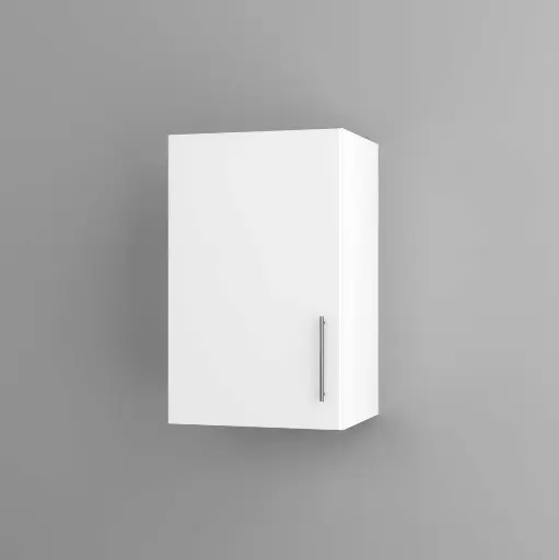 450mm wall cabinet (Avant glossy white)